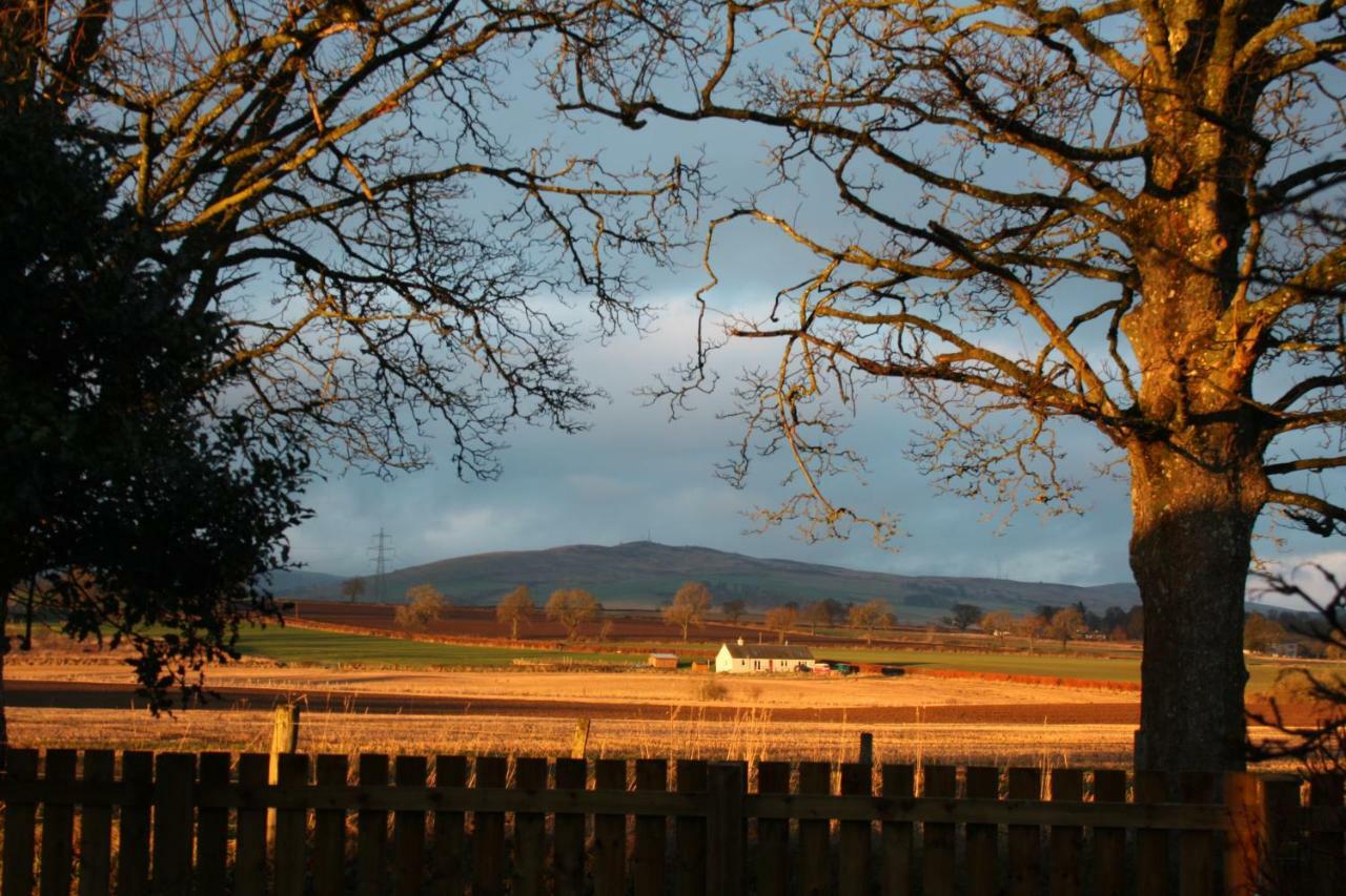 The Highlandman Station Bed and Breakfast Crieff Exteriör bild